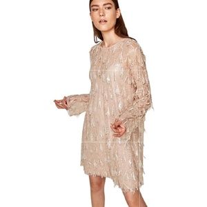 Zara Blush Fringe dress